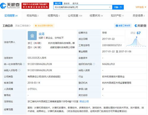 技術(shù)開發(fā)與法律邊界 愛奇藝訴‘馬上玩’共享VIP案終審判決分析